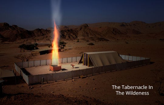 The Tabernacle In The Wilderness