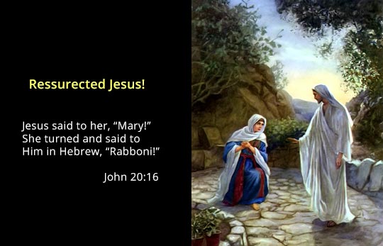 Resurrected Jesus Header - Resurrection Study