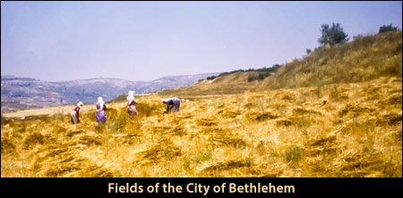 City of Jesus' Birth - Bethlehem