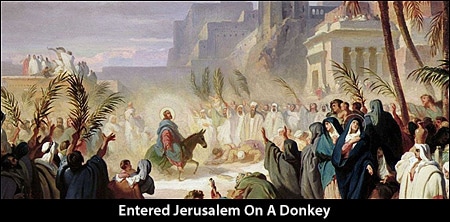 Jesus Entered Jerusalem On A Donkey