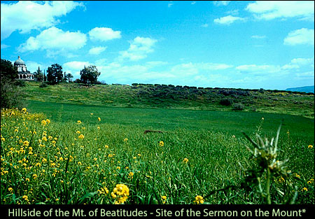 Hillside of the Mt. of Beatitudes