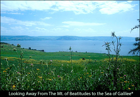 Looking Away From the Mt. of Beatitudes