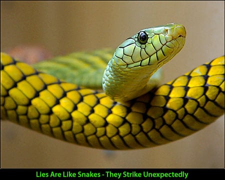 Lies Are Like Snakes - They Strike unexpectedly