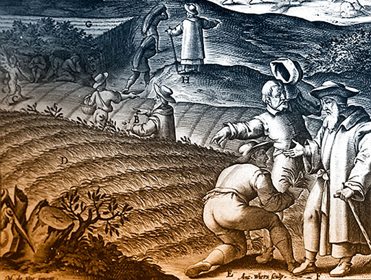 Parables of the The Lamp and the Wheat and Tares