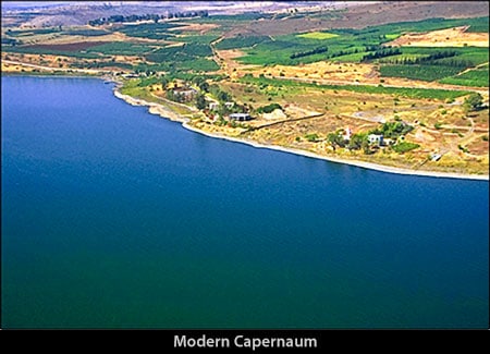 Modern Capernaum