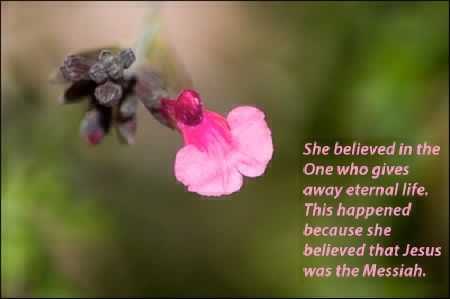 She believed in the One who gives away eternal life.