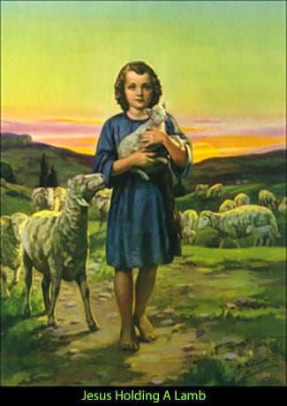 Jesus Holding A Lamb