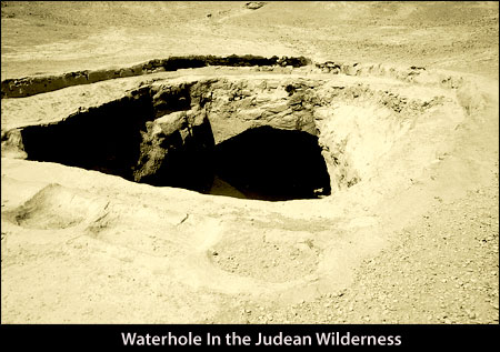 Waterhole in the Judean Wilderness