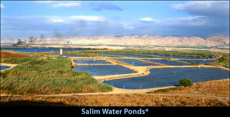 Salim Water Ponds