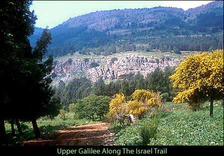 Upper Galilee 