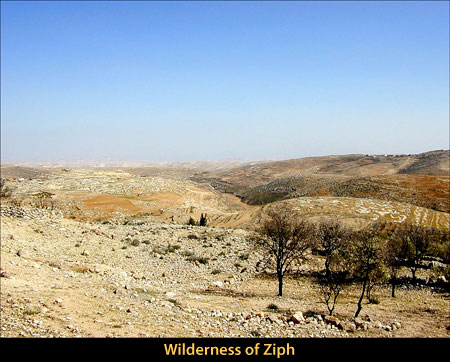 Wilderness of Ziph