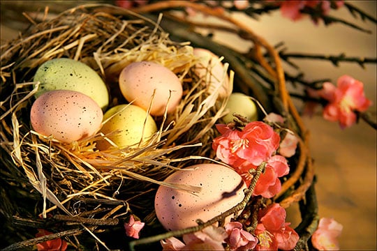 Pastel Colored Easter Eggs