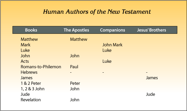 Human Authors of the New Testament