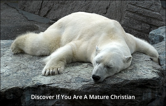 Are you a spiritually mature Christian?