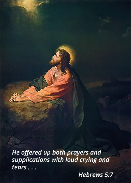 Jesus Offered Up Prayers
