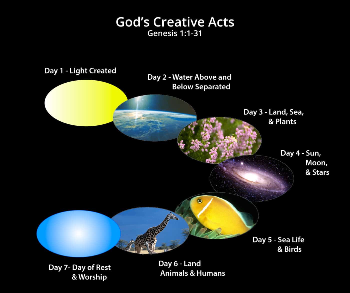 Seven Days Creation