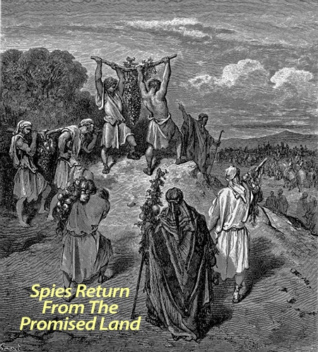 Spies Return from Promised Land - Believe and then Rest