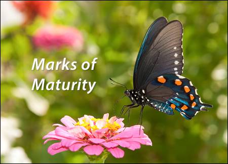 Marks of Maturity