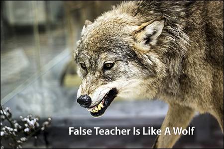 False Teacher Is Like A Wolf