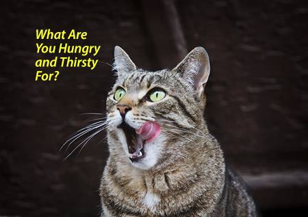What Are You Hungry and Thirsty For?