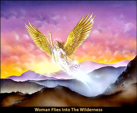 Woman Flies Into The Wilderness