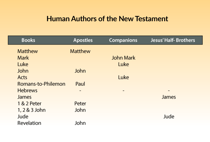 Human Authors Of The New Testament