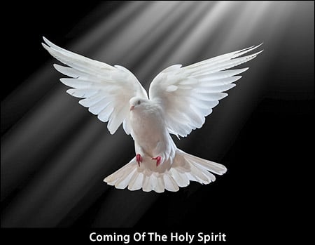 Coming of the Holy Spirit Coming Of The Holy Spirit