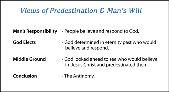 View of Predestination and Man's Freewill