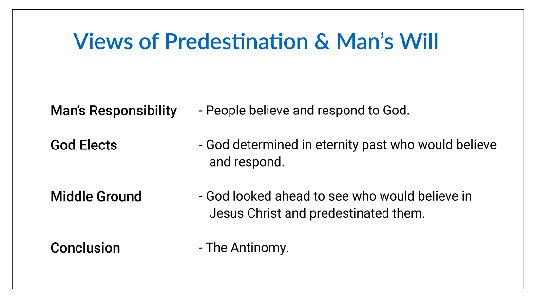 Views of Predestination and Man View of Predestination and Man's Freewill