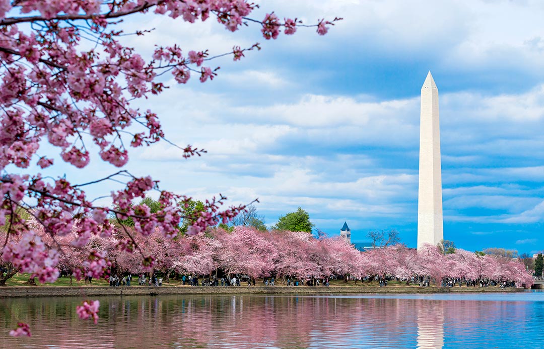 Washington Monument