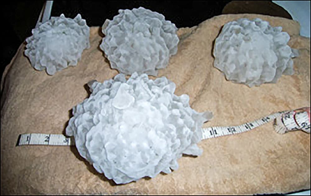 Hailstones collected by Vivian resident Les Scott