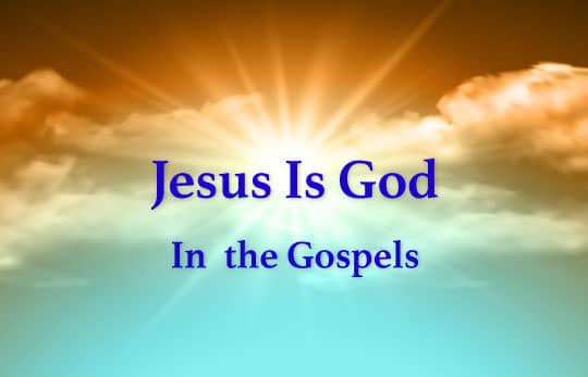 Jesus is God in the Gospels Header