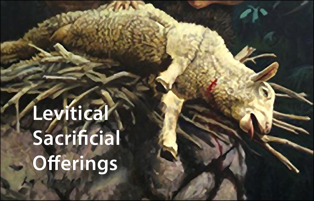 Leviticial Sacrifical Offerings - frontlarge
