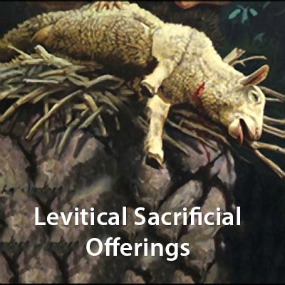 levitical-sacrificial-offerings