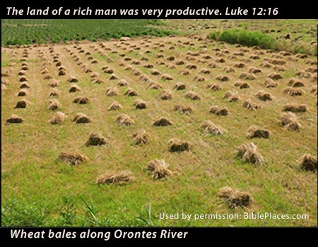 Rich Man's Productive Crops