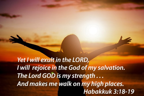 I will exult in the Lord