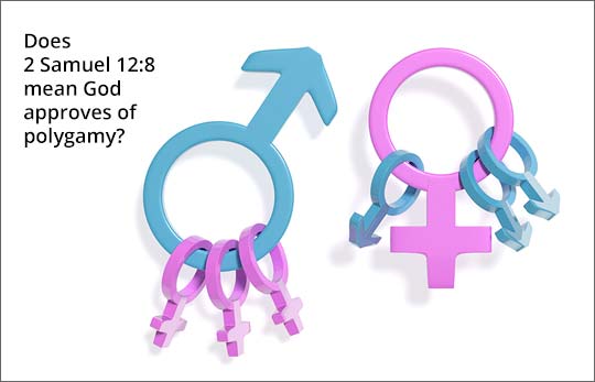 Does 2 Samuel 12:8 Mean God Approves of Polygamy?