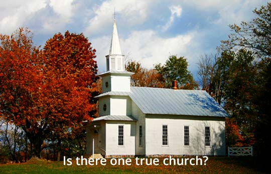 ¿Existe una iglesia verdadera?