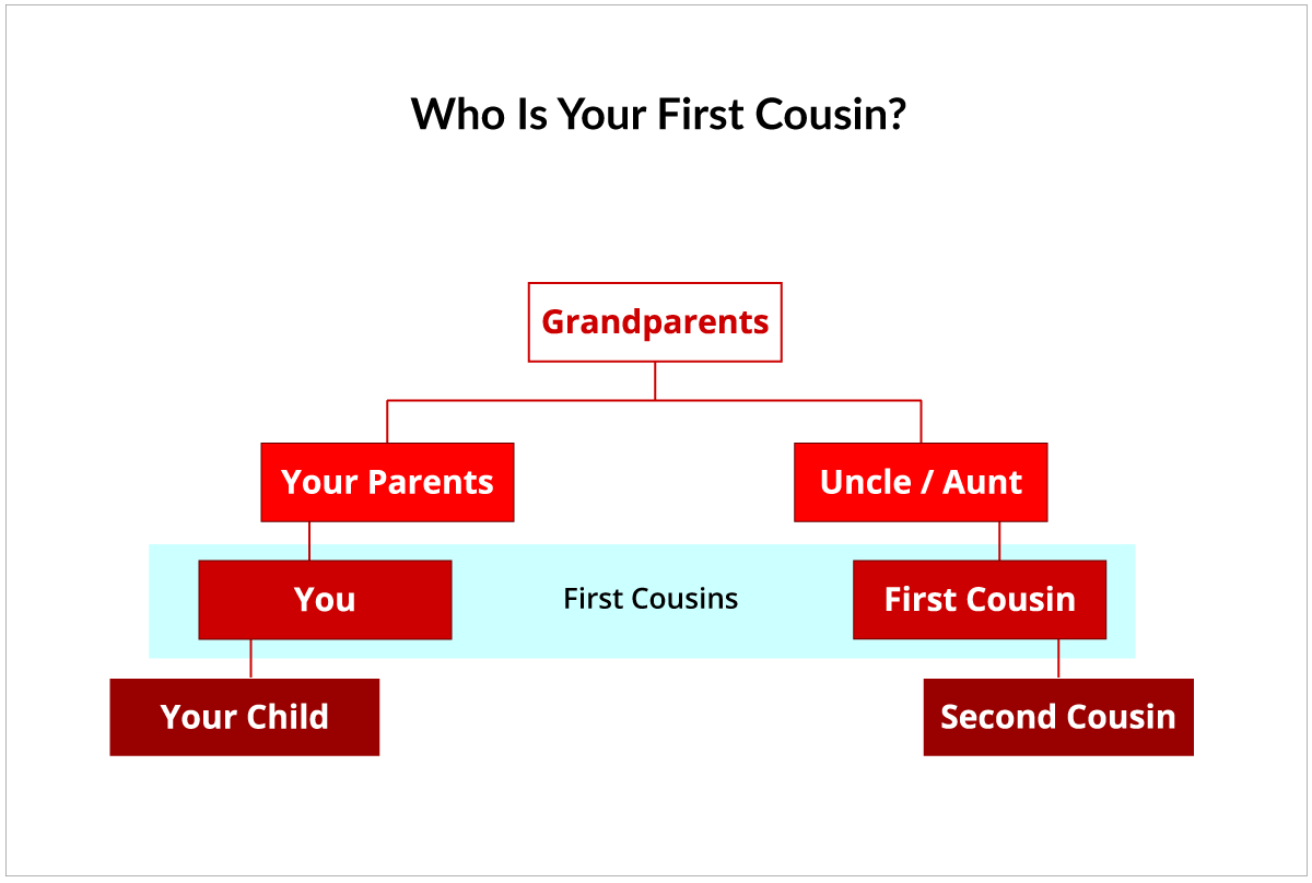 Who Is Your First Cousin?