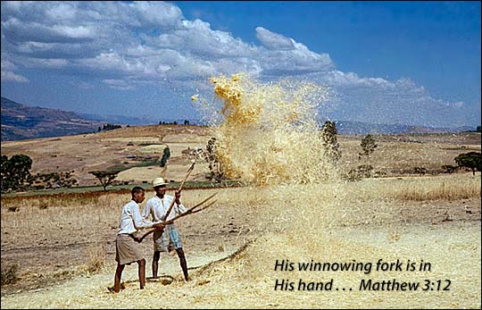 Men Using The Winnowing Fork