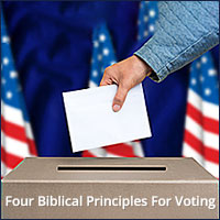 Voting Ballot Put In Box - icon