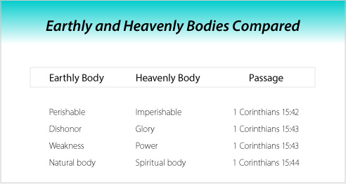 Earthly and Heavenly Bodies Compared