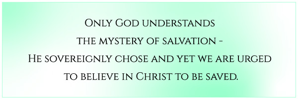 Mystery of Salvation - Life of Christ Study