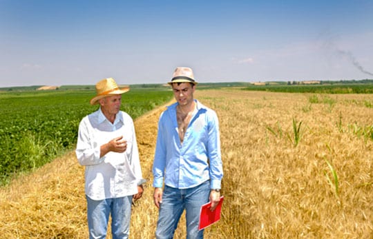 Two Men In The Field