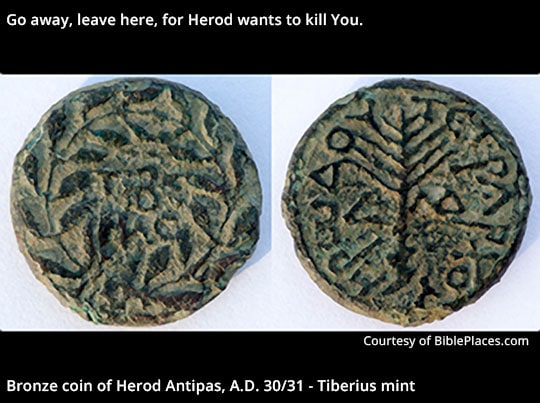 Bronze Coins Herod