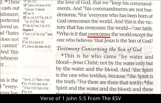 Verse 1 John 5:5