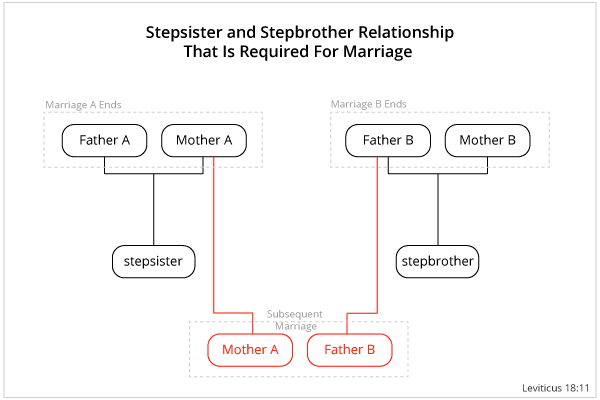 Definition of Stepsister and Stepbrother