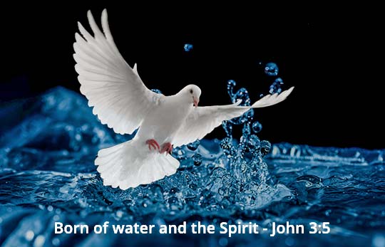 Born of water and the Spirit - John 3:5