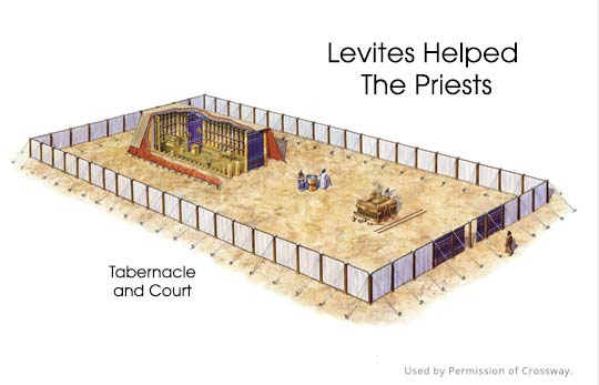 Levites Helped the Priests