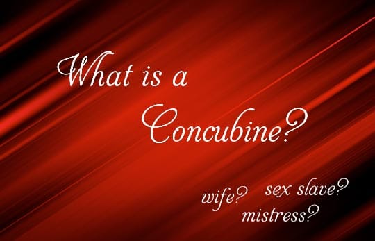 What Is a Concubine?